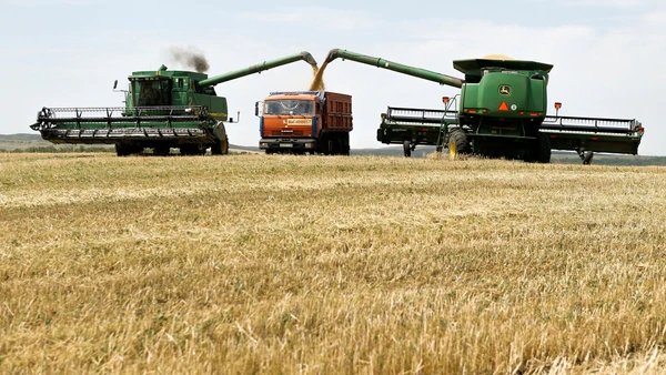 La cosecha récord del campo equivaldría al 1,6% del PBI nacional