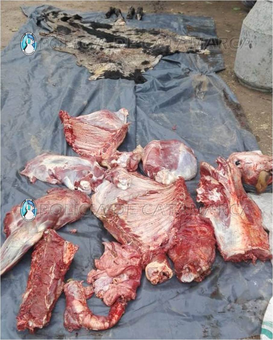 Santa Rosa: aprehenden a un hombre por robar un animal y faenarlo