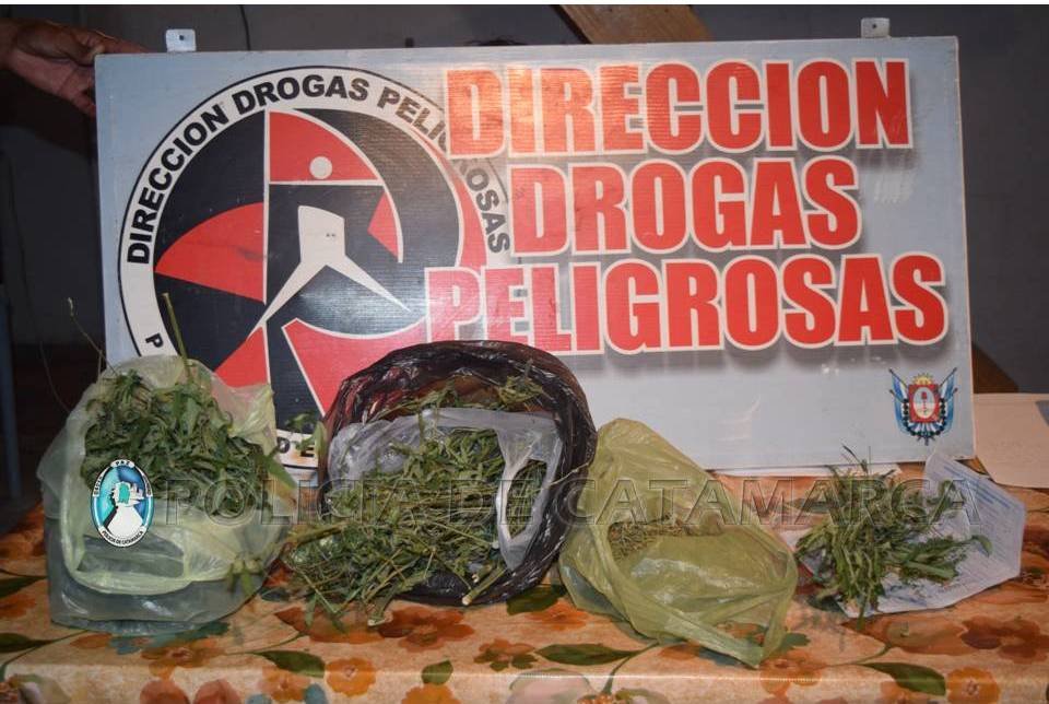 La policía sigue secuestrando marihuana en Valle Viejo