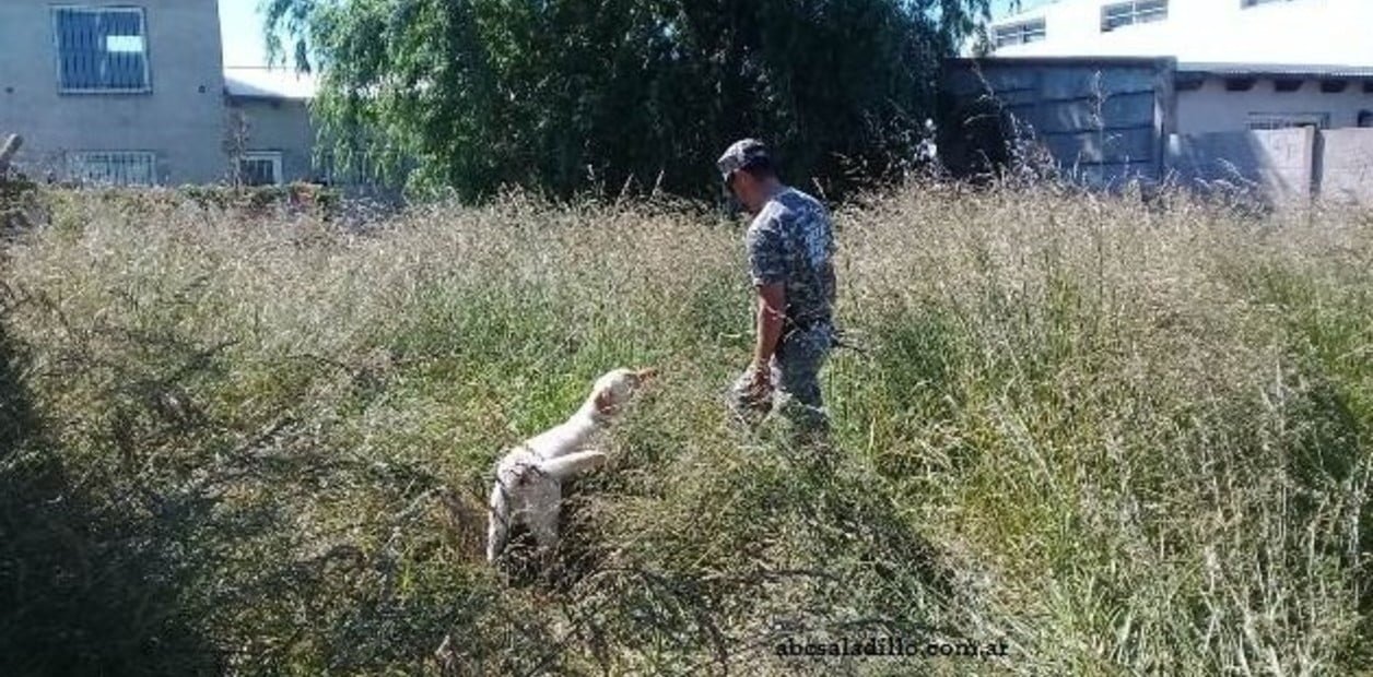 Intentó matar a su mujer y fue encontrado por la policía decapitado