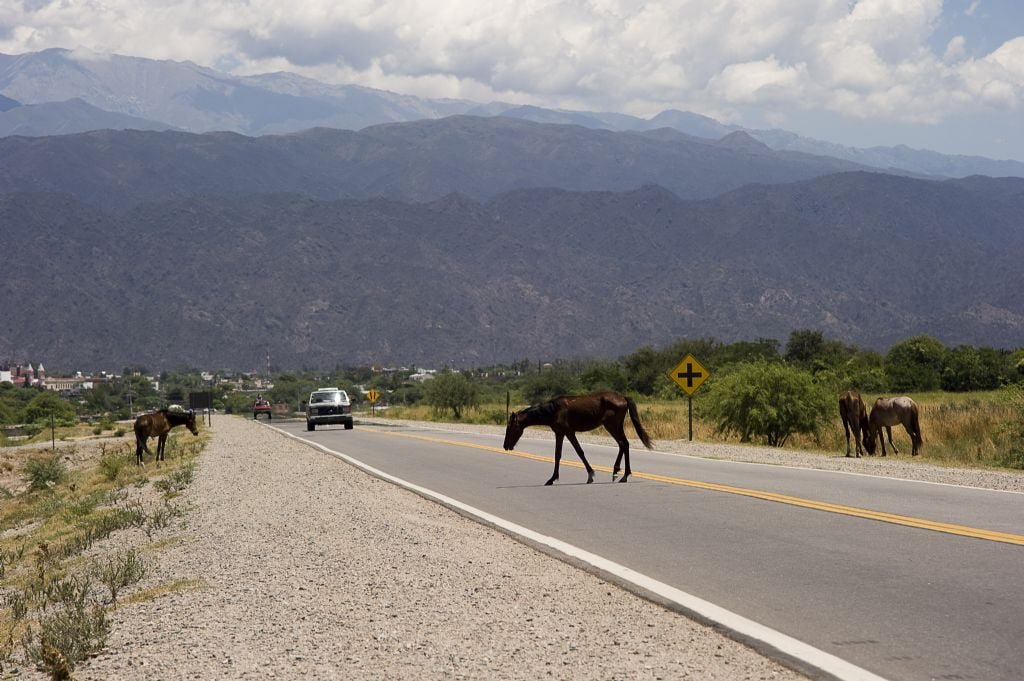 Estado de rutas nacionales 04/12//2018