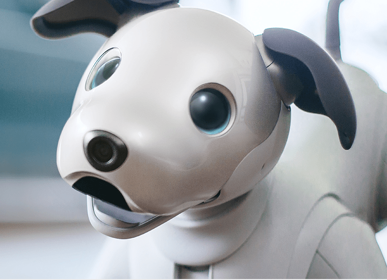Los 5 robots más destacados de 2018