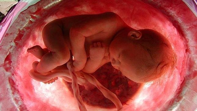 Entre Ríos: Bebé sobrevivió varias horas a un aborto