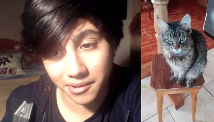 Brutal: se grabó golpeando a un gato y genera indignación en las redes sociales