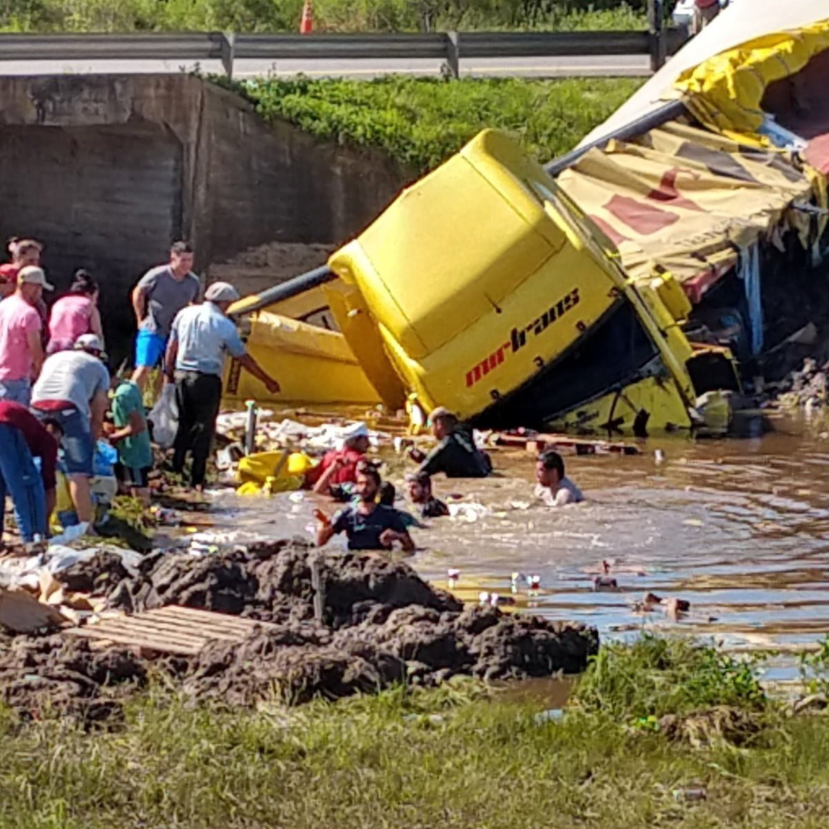 Cayó un camión con 6.000 cervezas a un arroyo y los vecinos se metieron al agua