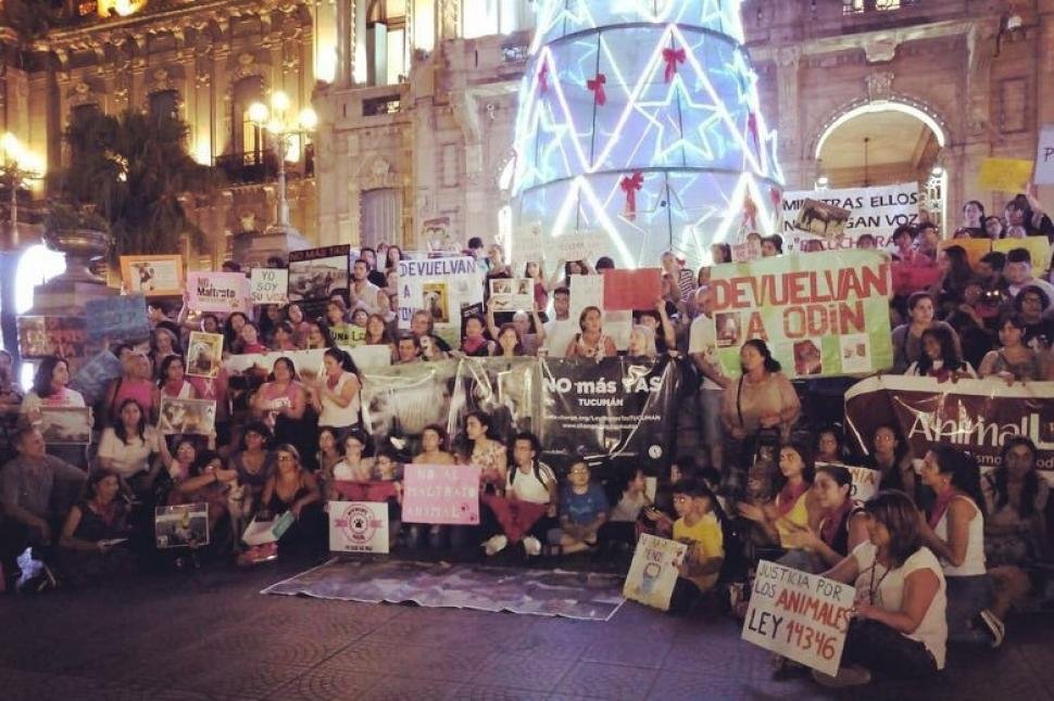 Cientos de tucumanos marcharon contra el maltrato animal y la tracción a sangre