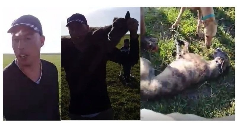 Crueldad sin límite: Denuncian a galgueros como «asesinos de perros»