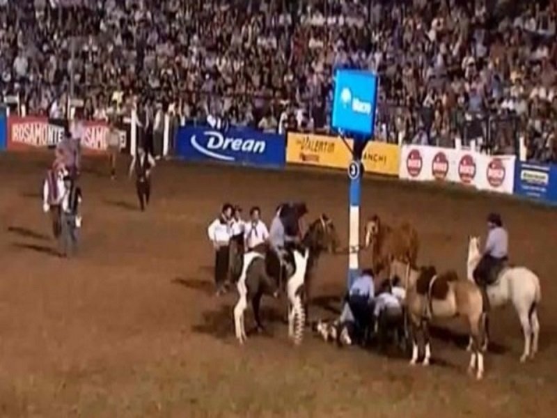 Video: murió un caballo en Jesús María y hay polémica