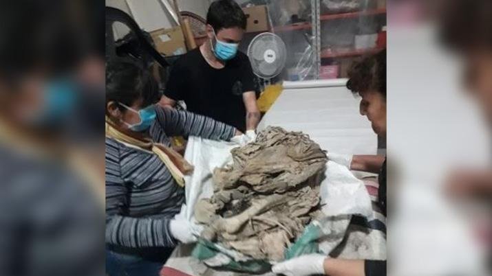 Encontraron a una momia de 600 años en Tinogasta -Catamarca