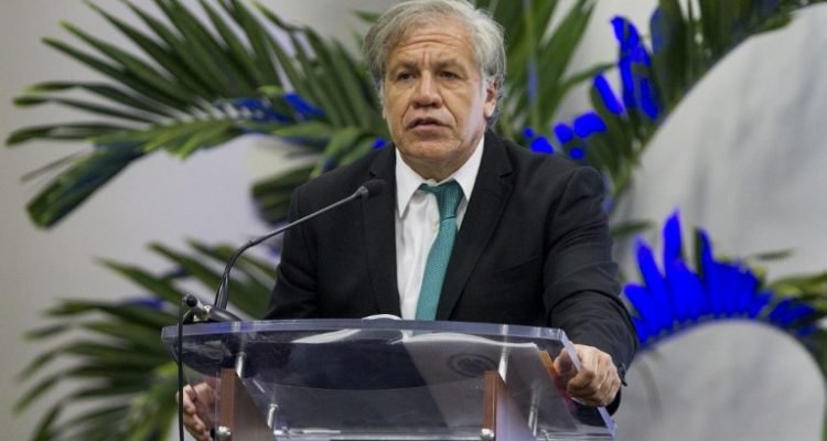 Secretario general de la OEA reconoce como presidente interino de Venezuela al opositor Juan Guaidó