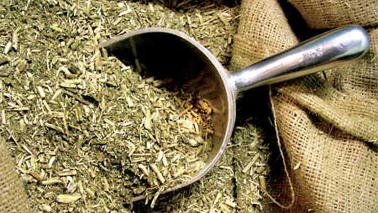 Yerba mate en 2018: el consumo aumentó en 2 millones de kilos en comparación con el 2017