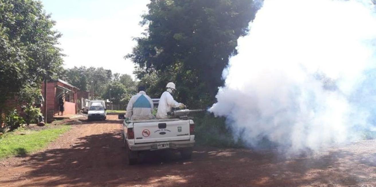 Dengue 2019: En Puerto Iguazú las autoridades confirmaron cuatro casos