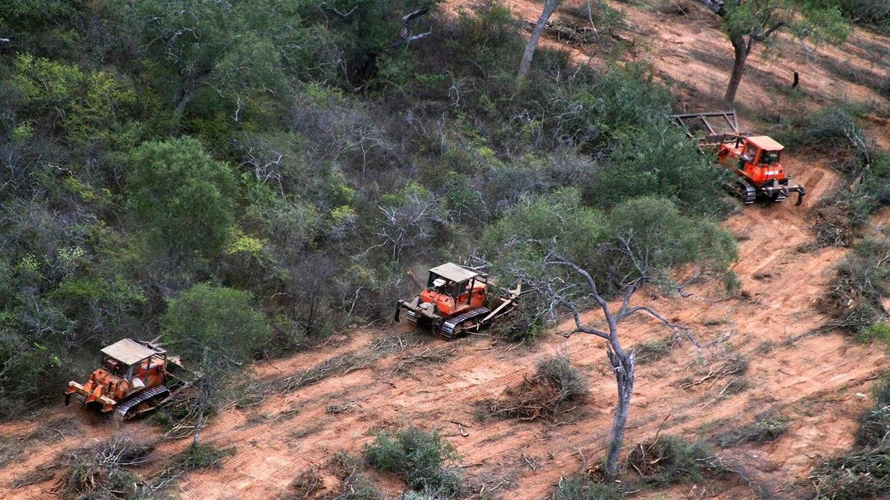 Chaco: La deforestación ilegal dejó más de 50 mil hectáreas arrasadas