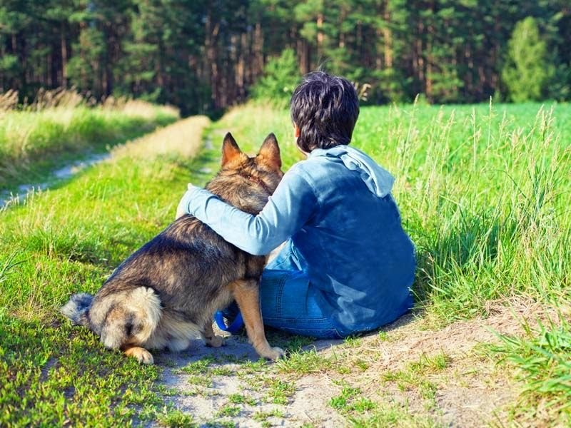 Al niño hay que decirle que su mascota murió