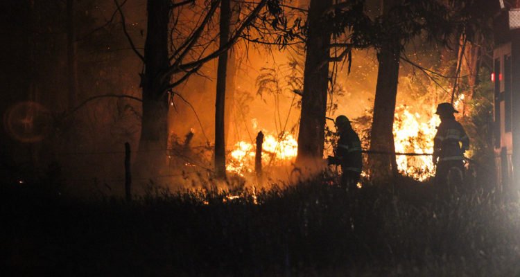 Chile: Hay 18 incendios activos: Ñuble y Bío Bío enfrentan situación más compleja por avance de las llamas