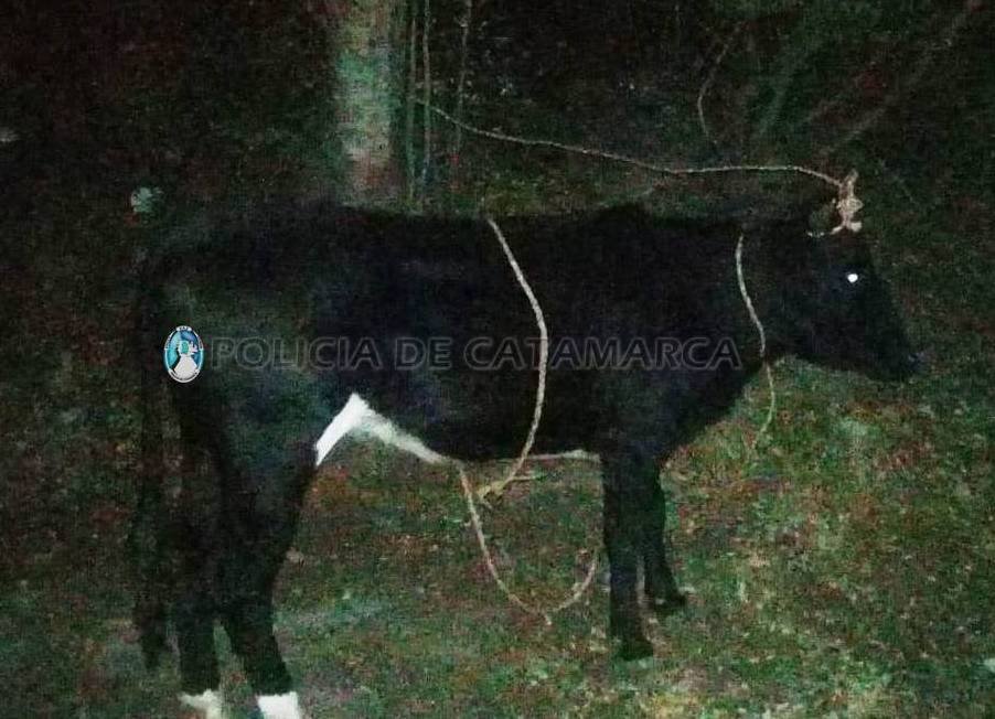 Durante un control vehicular secuestran un utilitario en el Puesto caminero de Ambato