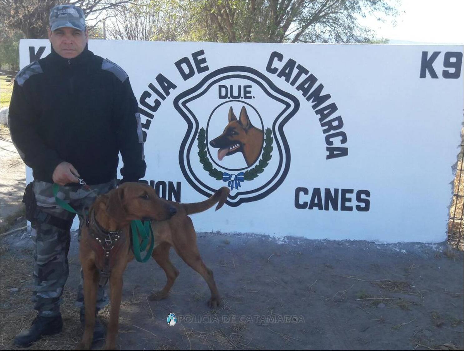 Con la ayuda del «Can René» efectivos policiales encontraron a un adolescente extraviado en el sector sur de la Capital