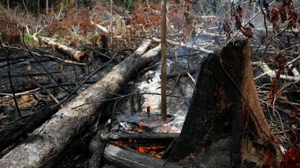 El incendio en Amazonas fue calificado como una «catástrofe continental»