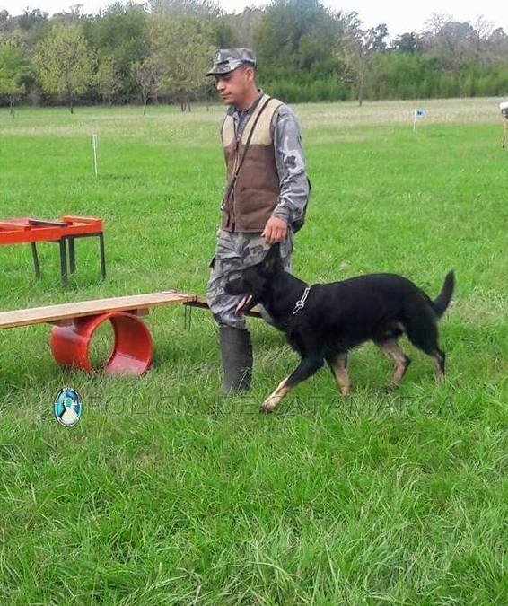 Athos llegó a Francia para representarnos en una competencia mundial