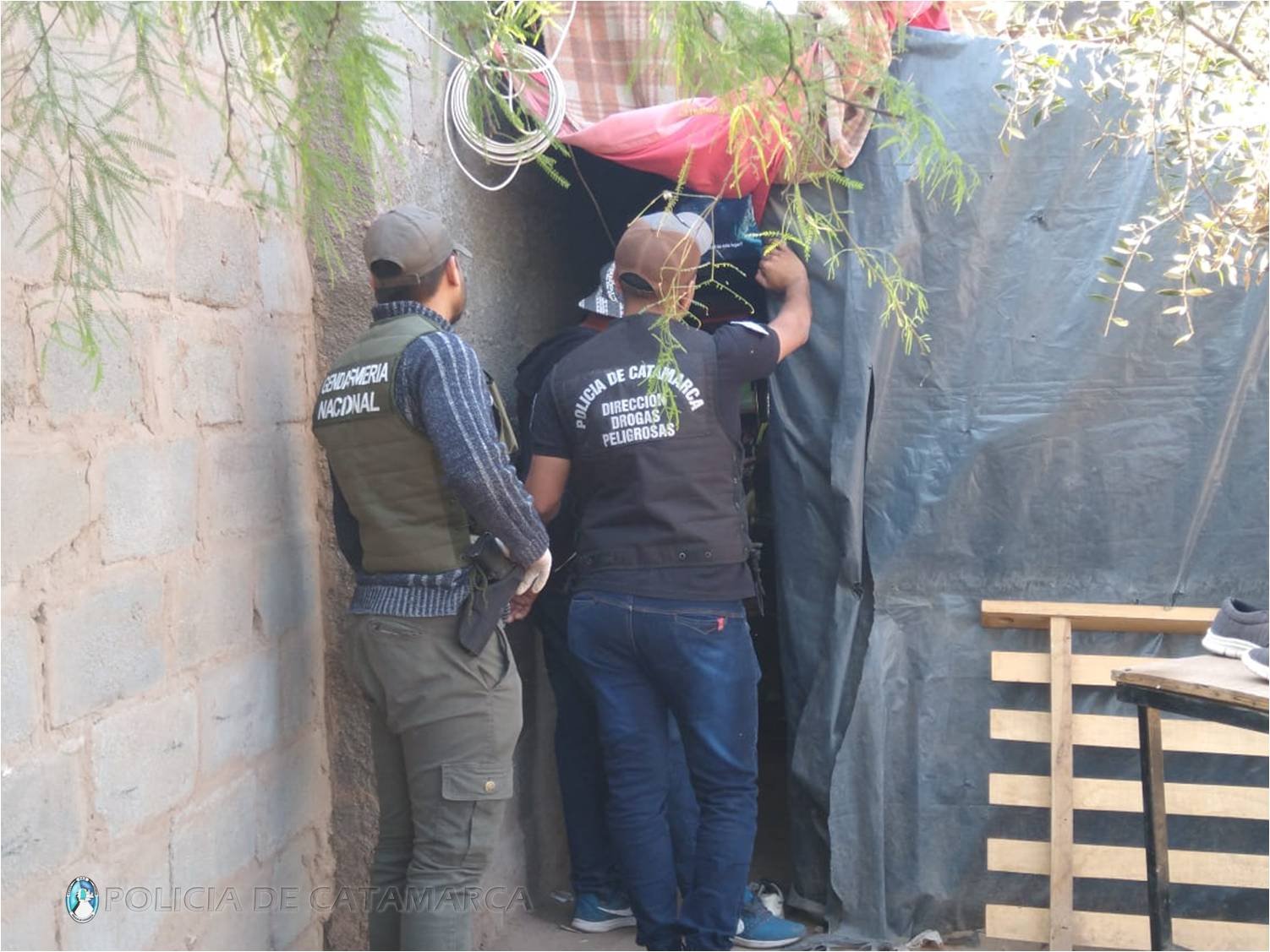 Secuestran Marihuana y Cocaína en La Paz