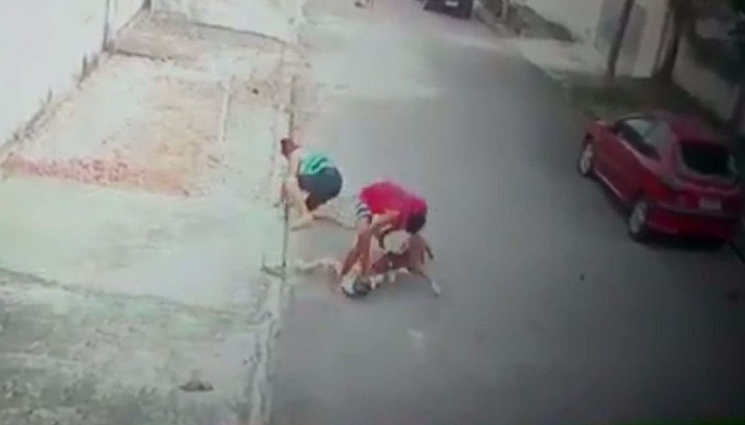 Tremendo rescate de un joven que salvó a un nene del ataque de un pitbull
