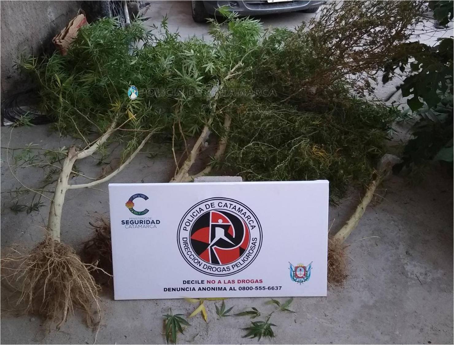 Detienen a un hombre, secuestran droga, dinero en efectivo y varios elementos en el sector sur de la Capital