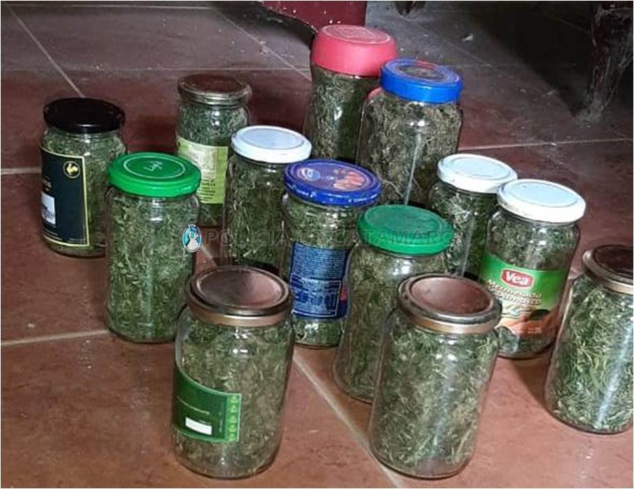 Secuestran cogollos y semillas de Marihuana durante un procedimiento en Valle Viejo