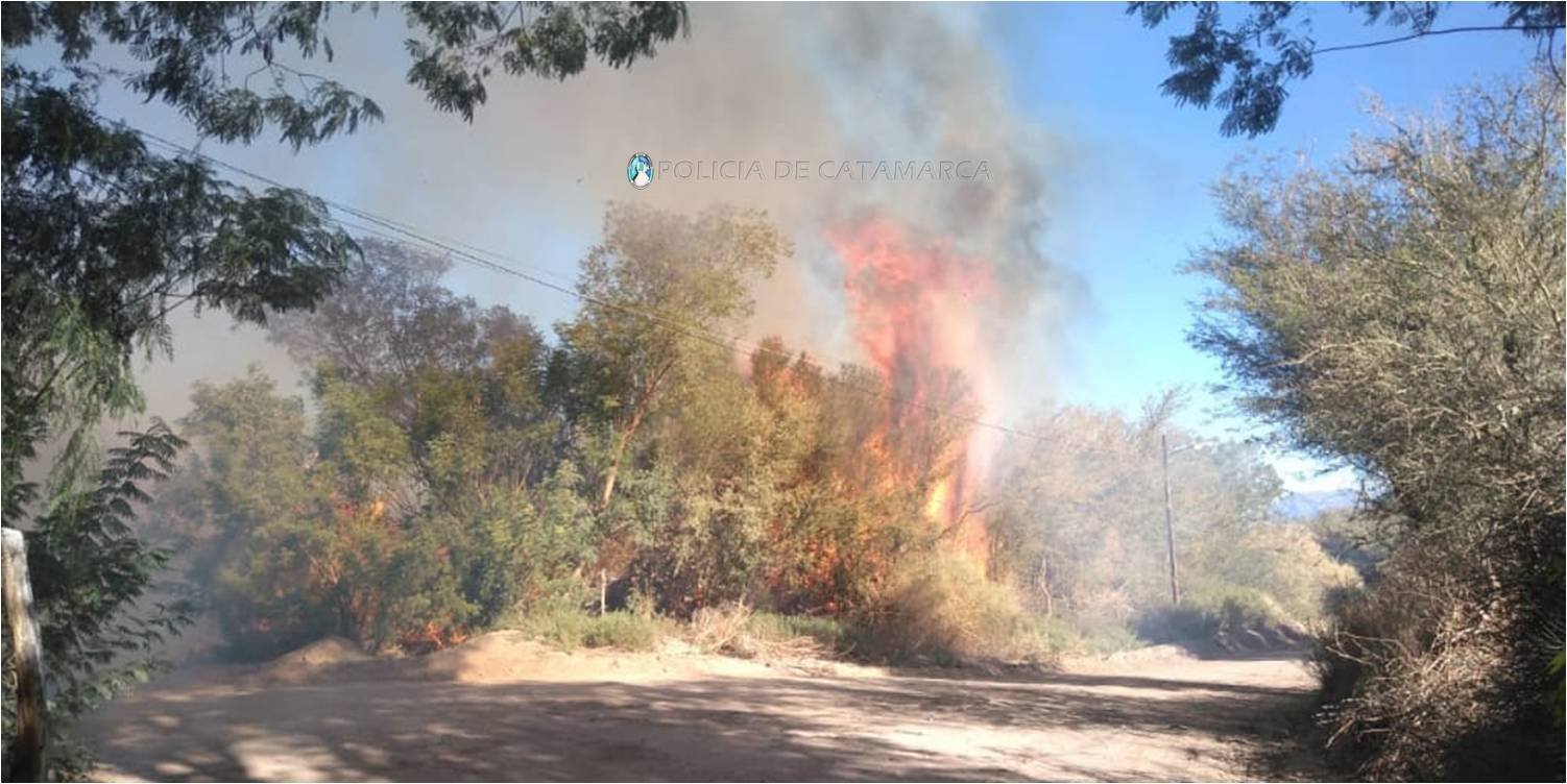 Combaten incendios forestales sin descanso