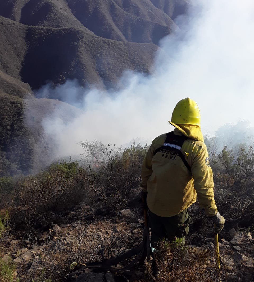 Incendio forestal en el cordón del Ambato