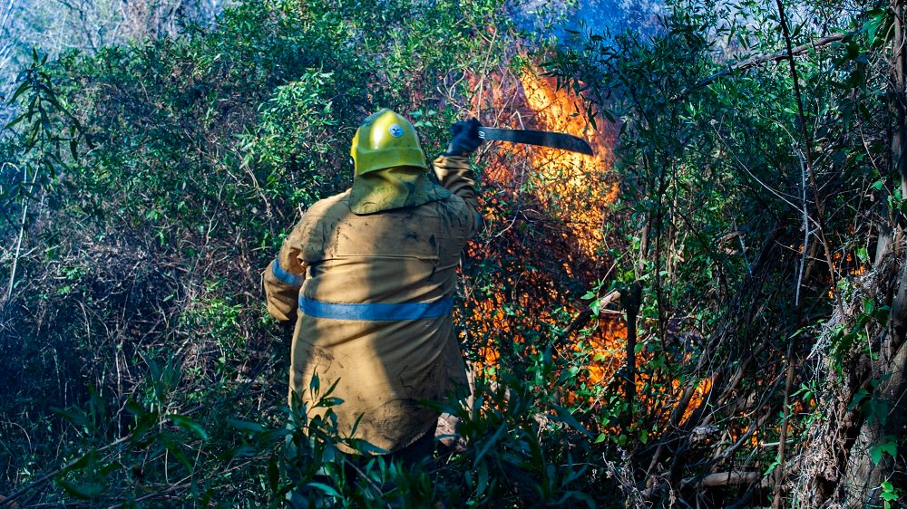 Combaten un incendio de gran magnitud en Pomancillo Este
