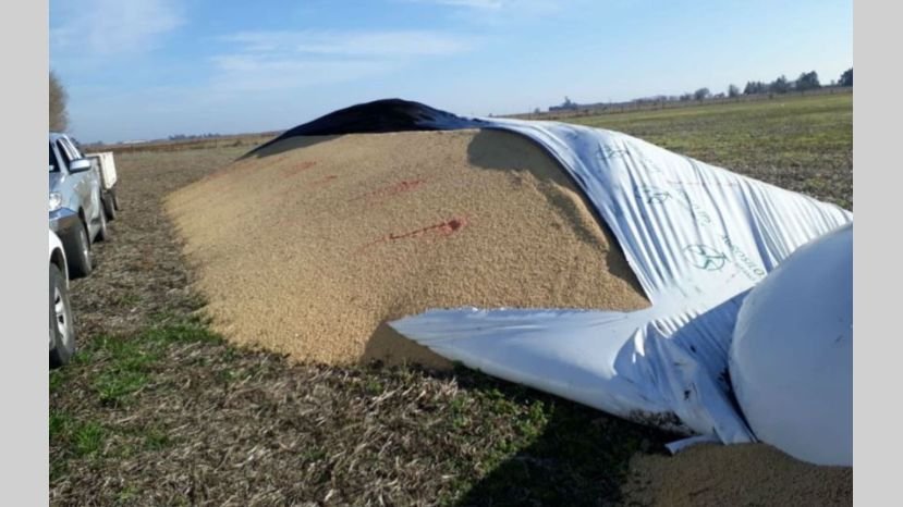 CRA advirtió que se vandalizaron 60 silobolsas en varios puntos del país en lo que va del año