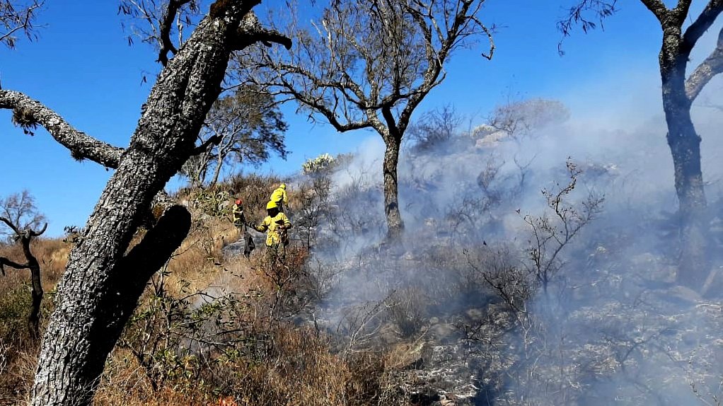 No cesan los incendios forestales en la provincia