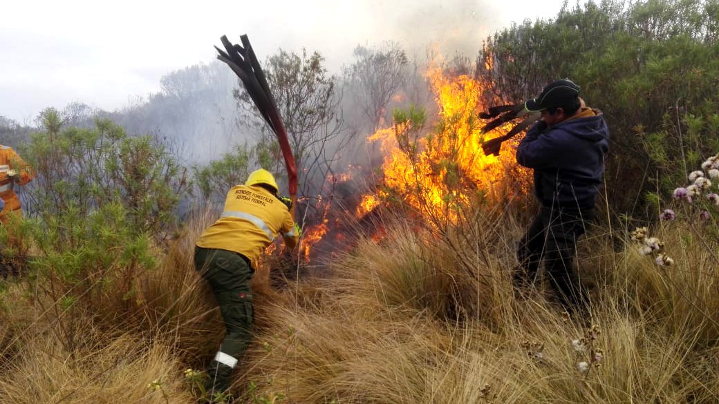 Fin de semana con diversos incendios forestales en la provincia