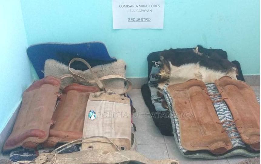 Policías recuperaron dos monturas sustraídas en Capayán