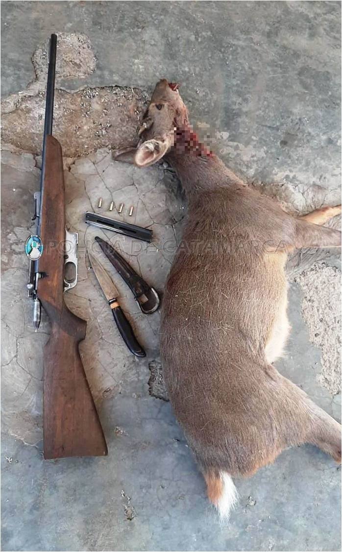 Aprehenden a un cazador y secuestran cartuchos y un arma de fuego en El Alto