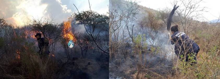 Efectivos policiales colaboraron para combatir los incendios en Ambato