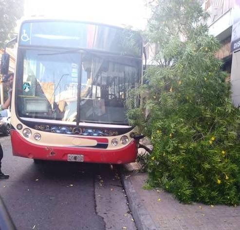 Colectivo perdió el control y choco con un árbol