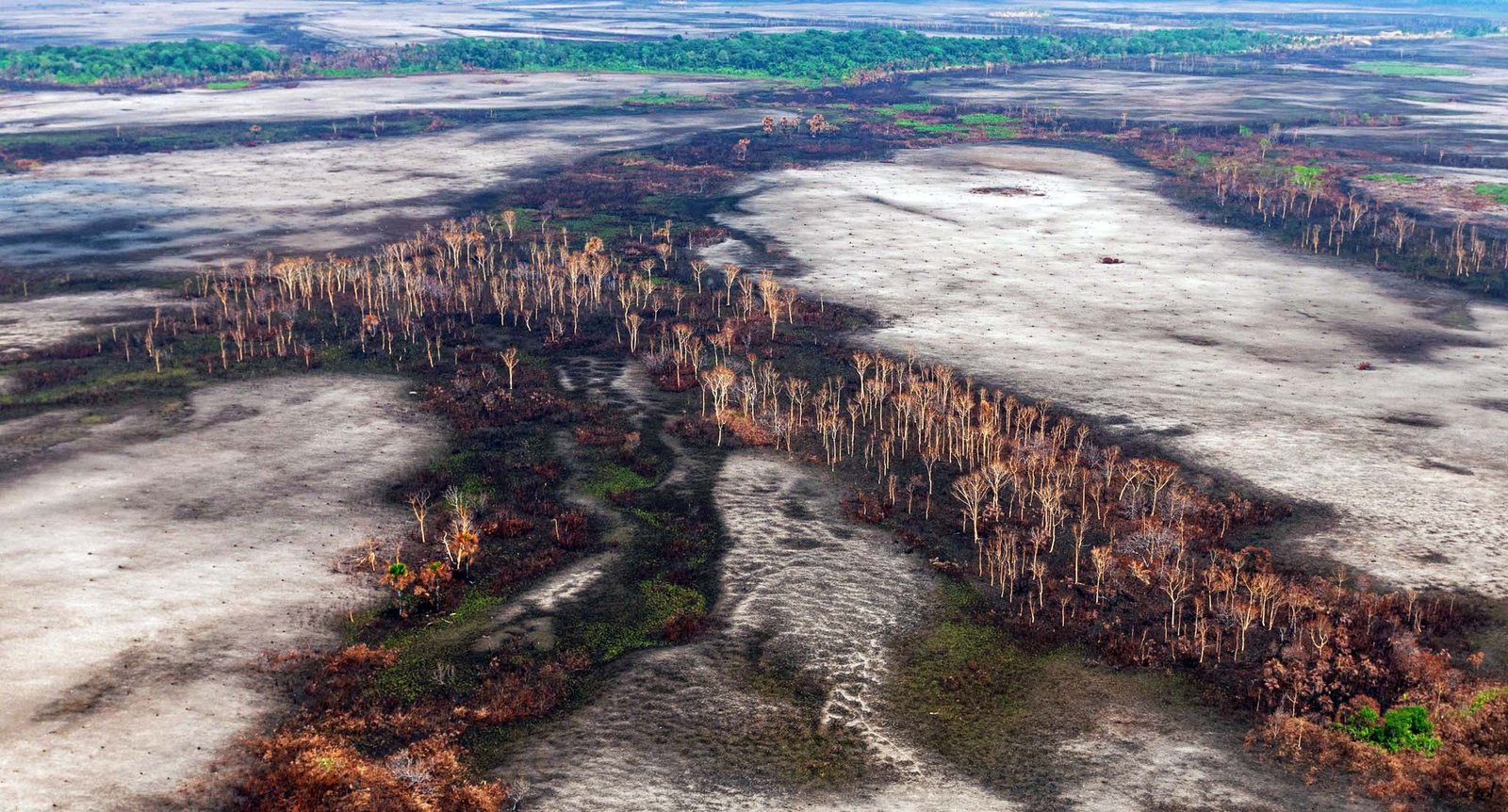 Alertan que las acciones contra el cambio climático son insuficientes a 5 años del Acuerdo de París