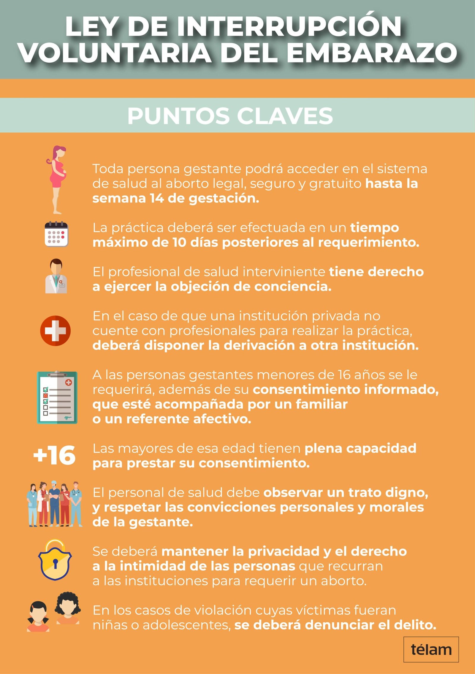 Los puntos salientes del proyecto sancionado por el Senado, que legaliza el aborto en la Argentina