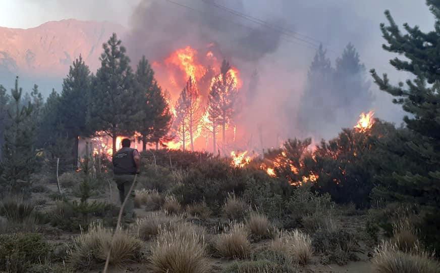 Precisan que son más de 7.000 las hectáreas quemadas en El Bolsón e investigan origen del incendio