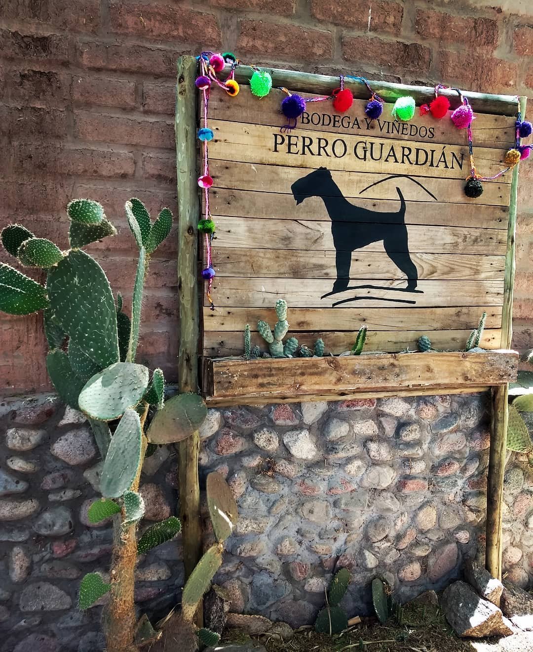 Perro Guardián, la primera bodega registrada como “Bodega Turística” en Catamarca