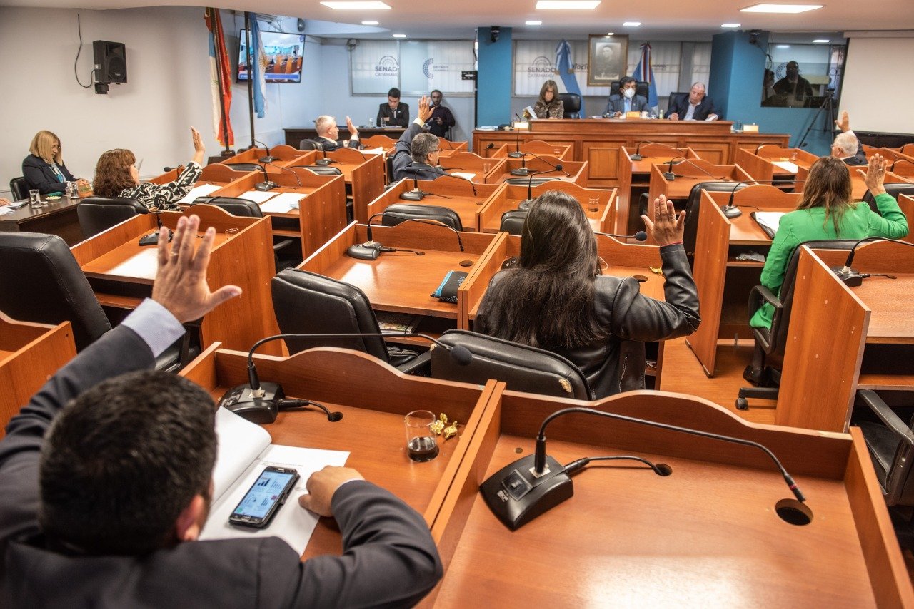 El Senado prorrogó la Emergencia Sanitaria y la Emergencia por incendios