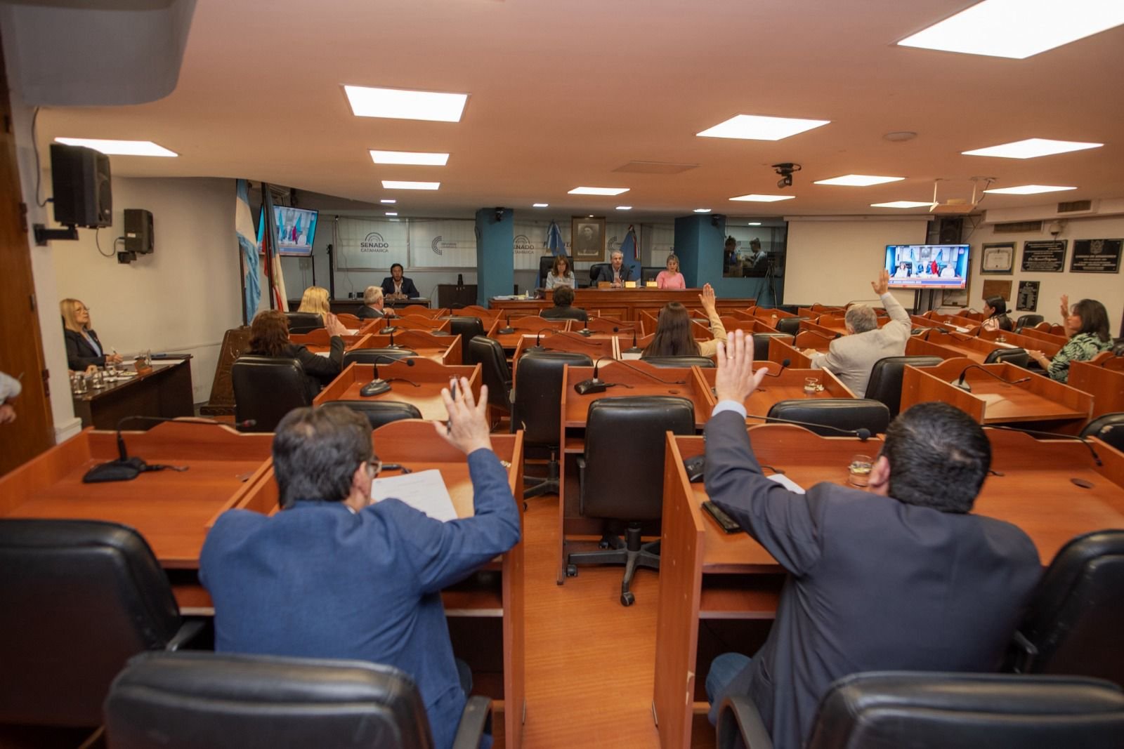 Reunido en la décima octava sesión ordinaria, el Pleno de Senadoras y Senadores encabezados por el vicepresidente Héctor Fernández aprobó diversos proyectos de interés.