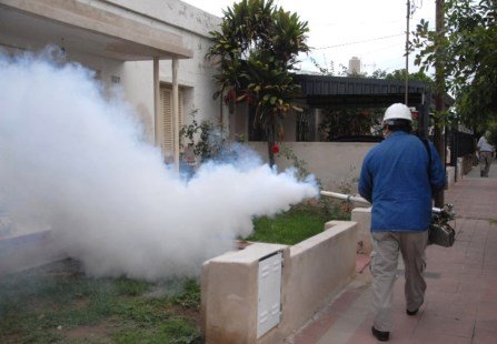 En Catamarca, el Dengue tiene circulación autóctona y preocupan nuevos casos