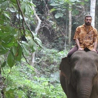 Escándalo en La Rioja: la provincia paga en cuasimonedas y el hijo de un ministro pasea en elefante por Tailandia