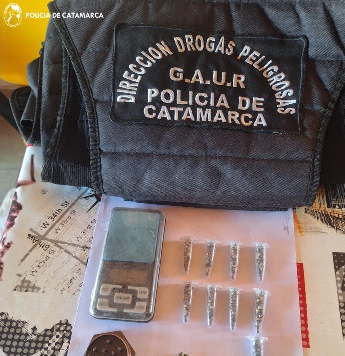 Tinogasta: policías secuestraron más de 400 semillas de Marihuana