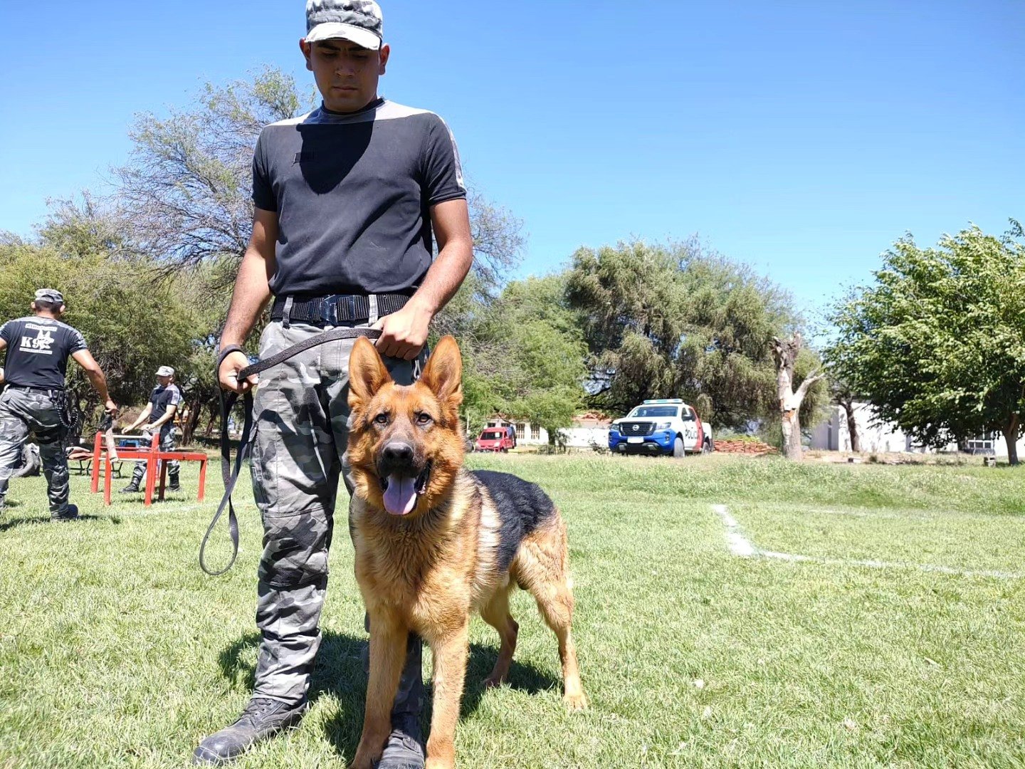 Roco, Kaleb, Lobo y Xanto, los perros/héroes de la División Canes de la Policía de Catamarca