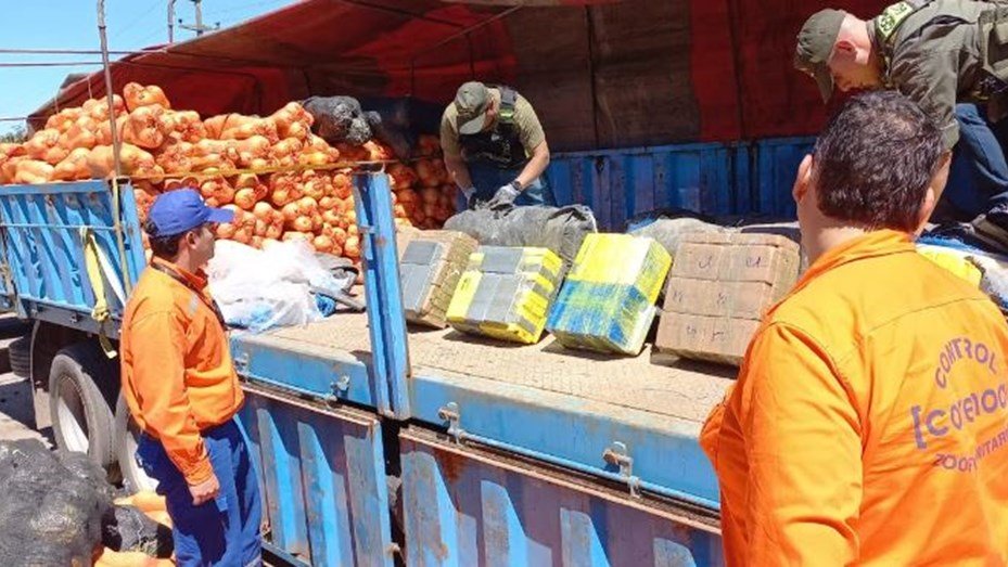 Incautan 861 kilos de cocaína ocultos en zapallos en un control caminero en Salta