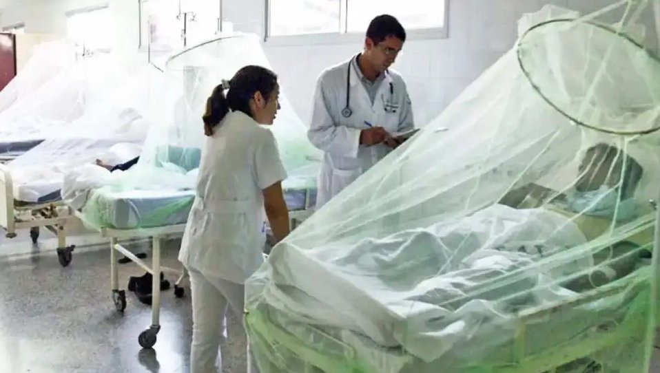 Brote récord de dengue: hay 119 muertos y 163.419 casos en lo que va del 2024