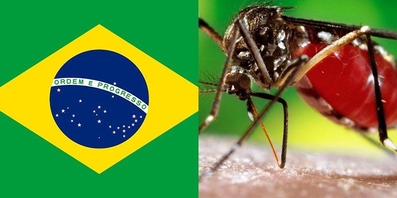 Brasil superó el millón de casos de dengue y registra 214 muertes